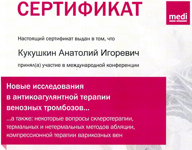 Анатолий Кукушкин посетил международную конференцию флебологов